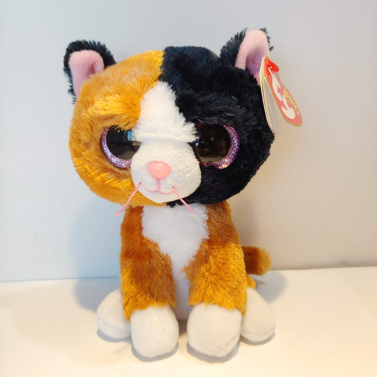 TY Beanie Boos - TAURI the Cat (Regular Size - 6 inch) (Mint):  : Sell TY Beanie Babies, Action Figures, Barbies, Cards  & Toys selling online